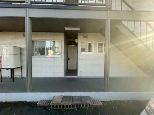 �y�����O�ρz�@�G���g�����X