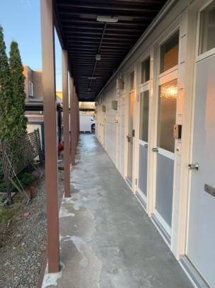 �y�����O�ρz�@�G���g�����X