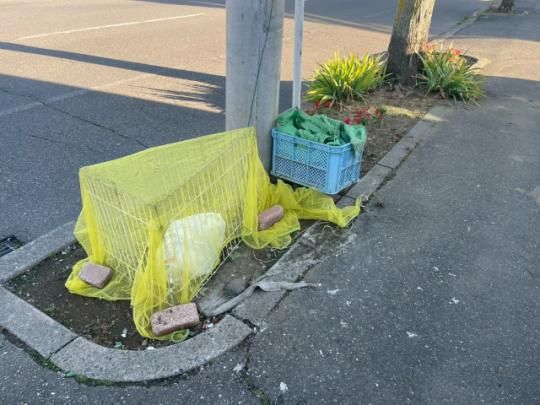 �y�����O�ρz�@���L����