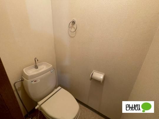 �y���̑��z�@�g�C��