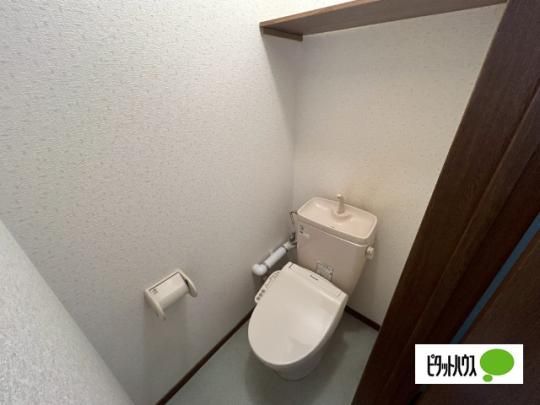 �y���̑��z�@�g�C��