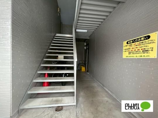 �y�����O�ρz�@���r�[