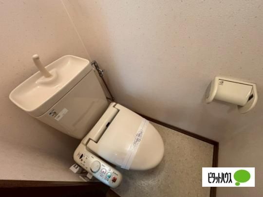 �y���̑��z�@�g�C��