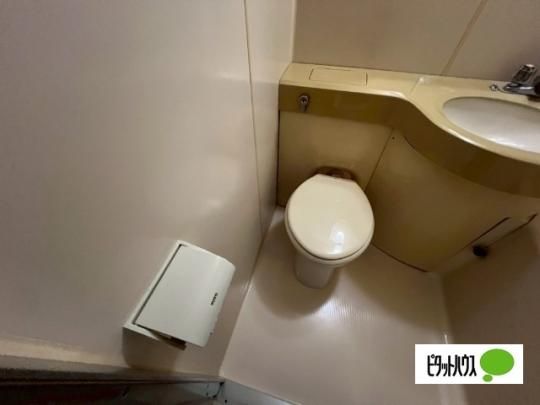 �y���̑��z�@�g�C��