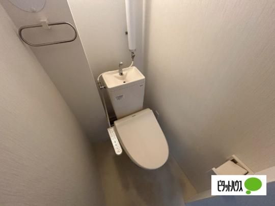 �y���̑��z�@�g�C��