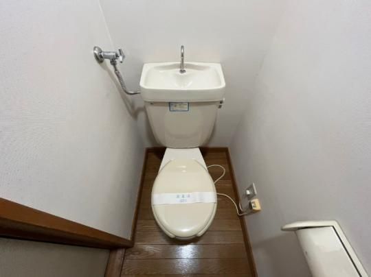 �y���̑��z�@�g�C��