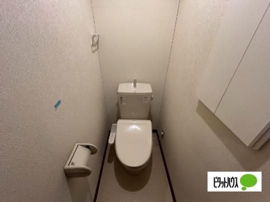 �y���̑��z�@�g�C��