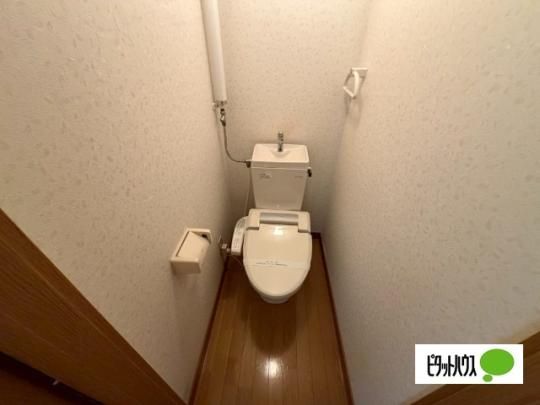 �y���̑��z�@�g�C��