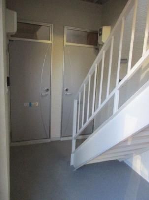 �y�����O�ρz�@�G���g�����X