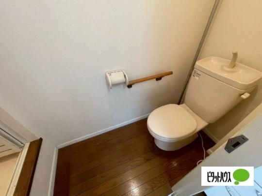 �y���̑��z�@�g�C��