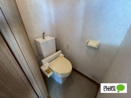 �y���̑��z�@�g�C��