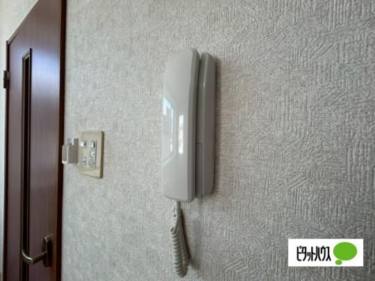 �y���̑��z�@�Z�L�����e�B