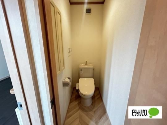 �y���̑��z�@�g�C��