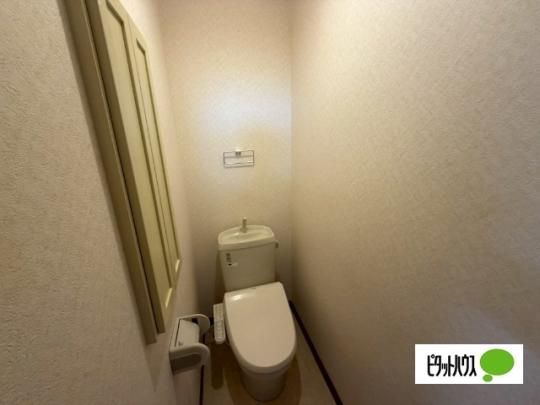�y���̑��z�@�g�C��