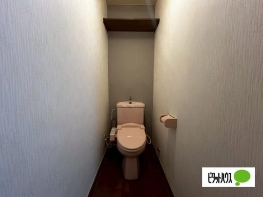 �y���̑��z�@�g�C��