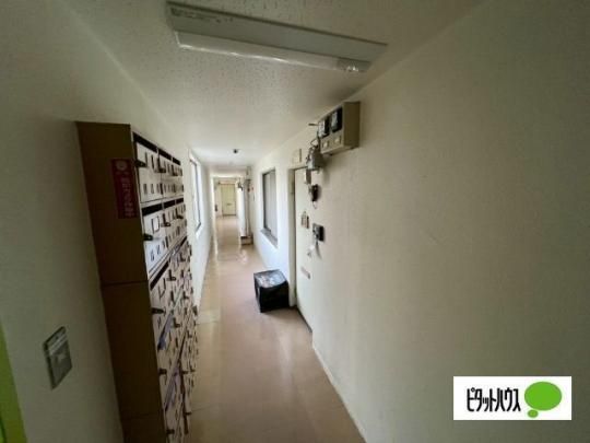 �y�����O�ρz�@���r�[