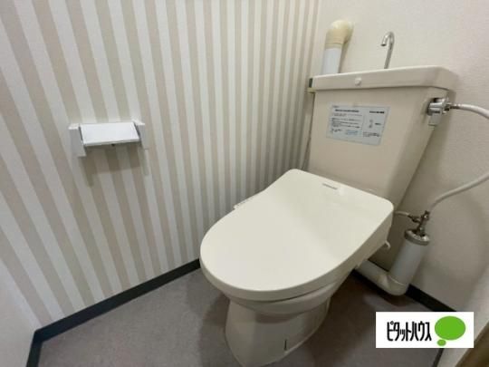 �y���̑��z�@�g�C��