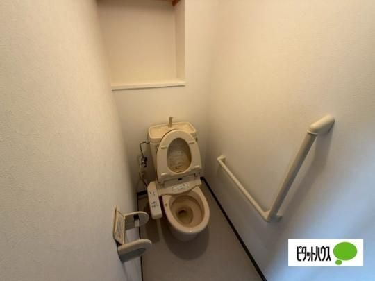 �y���̑��z�@�g�C��