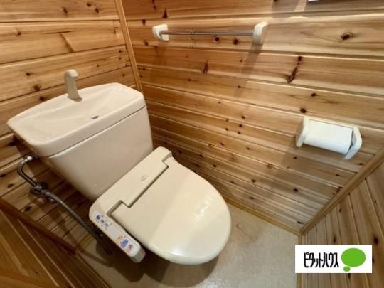 �y���̑��z�@�g�C��