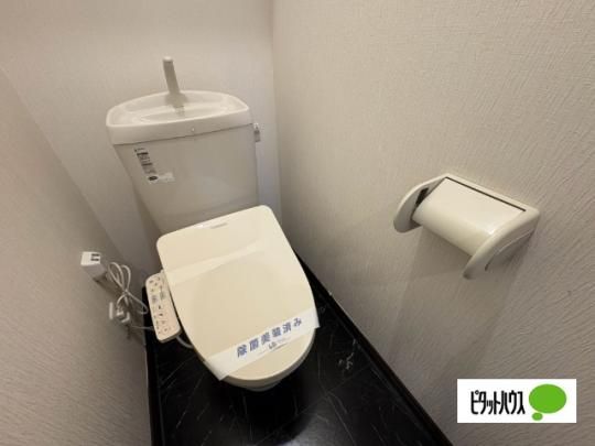 �y���̑��z�@�g�C��