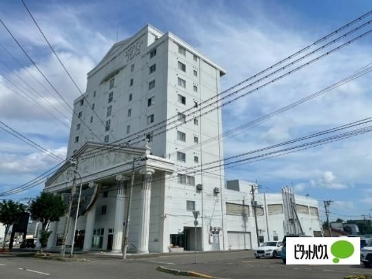 �z���C�g�p���X