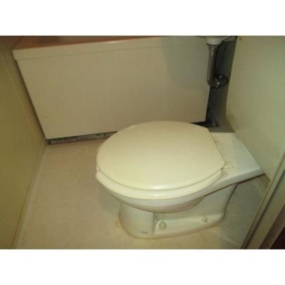 �y���̑��z�@�g�C��