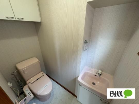 �y���̑��z�@�g�C��