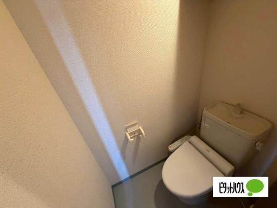 �y���̑��z�@�g�C��