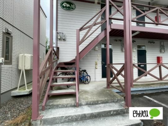 �y�����O�ρz�@�G���g�����X