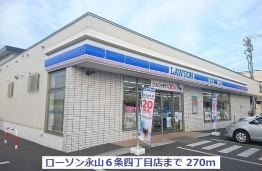 �y���Ӂz�@���[�\������i�R�U���S���ړX�F270m