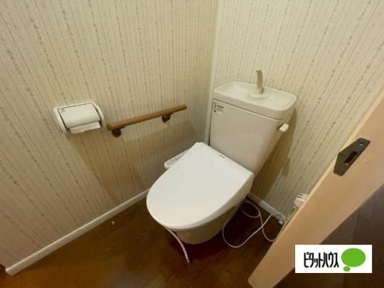 �y���̑��z�@�g�C��