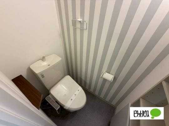 �y���̑��z�@�g�C��