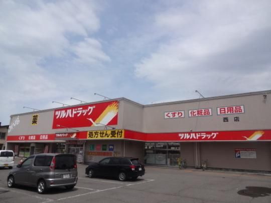 �y���Ӂz�@���ܖ�ǃc���n�h���b�O���X�F773m