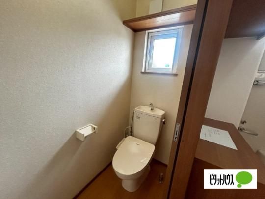 �y���̑��z�@�g�C��