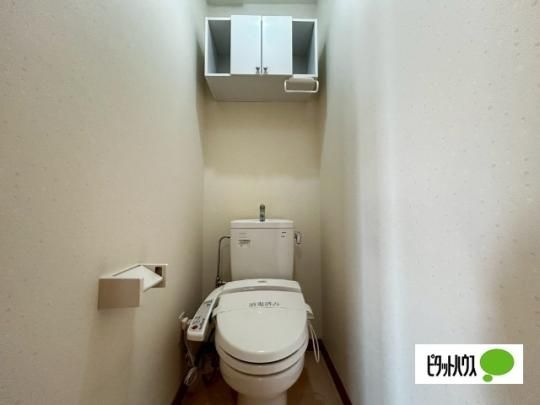 �y���̑��z�@�g�C��