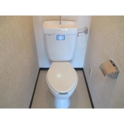 �y���̑��z�@�g�C��