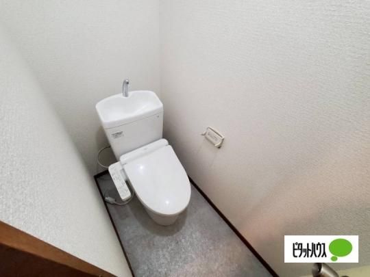 �y���̑��z�@�g�C��