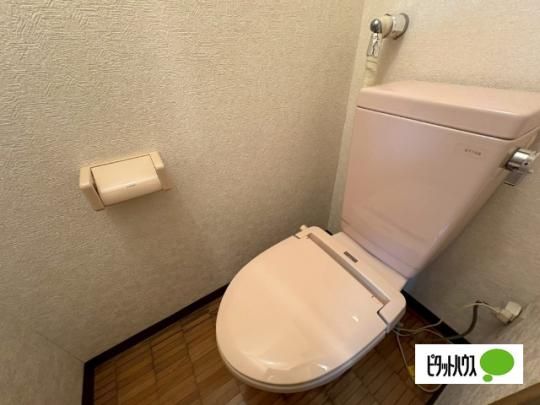�y���̑��z�@�g�C��