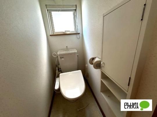 �y���̑��z�@�g�C��