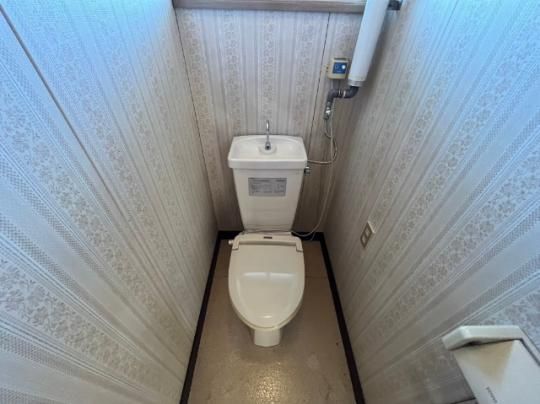 �y���̑��z�@�g�C��