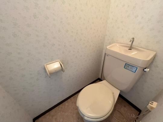 �y���̑��z�@�g�C��