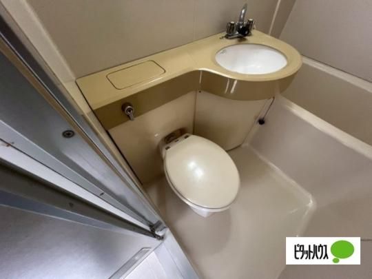 �y���̑��z�@�g�C��