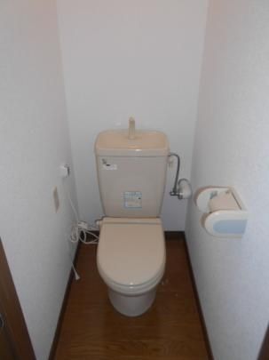 �y���̑��z�@�g�C��