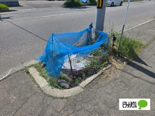 �y�����O�ρz�@���L����