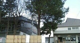 �y���Ӂz�@���a���w�Z�F850m