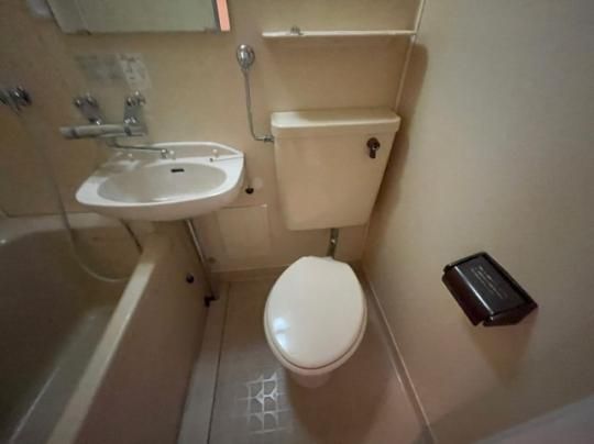 �y���̑��z�@�g�C��