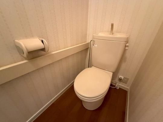 �y���̑��z�@�g�C��