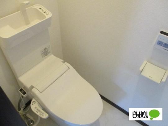 �y���̑��z�@�g�C��