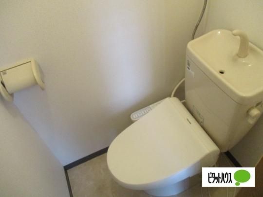 �y���̑��z�@�g�C��