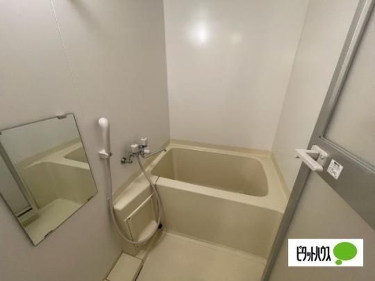 �y���̑��z�@�o�X�^�V�����[